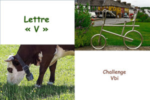 Challenge "La lettre V"