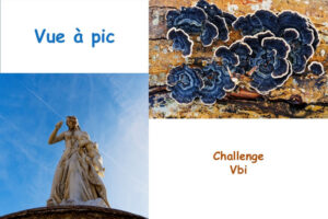 Challenge "Vue à pic"