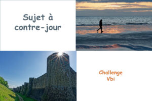Challenge "Sujet à contre jour"